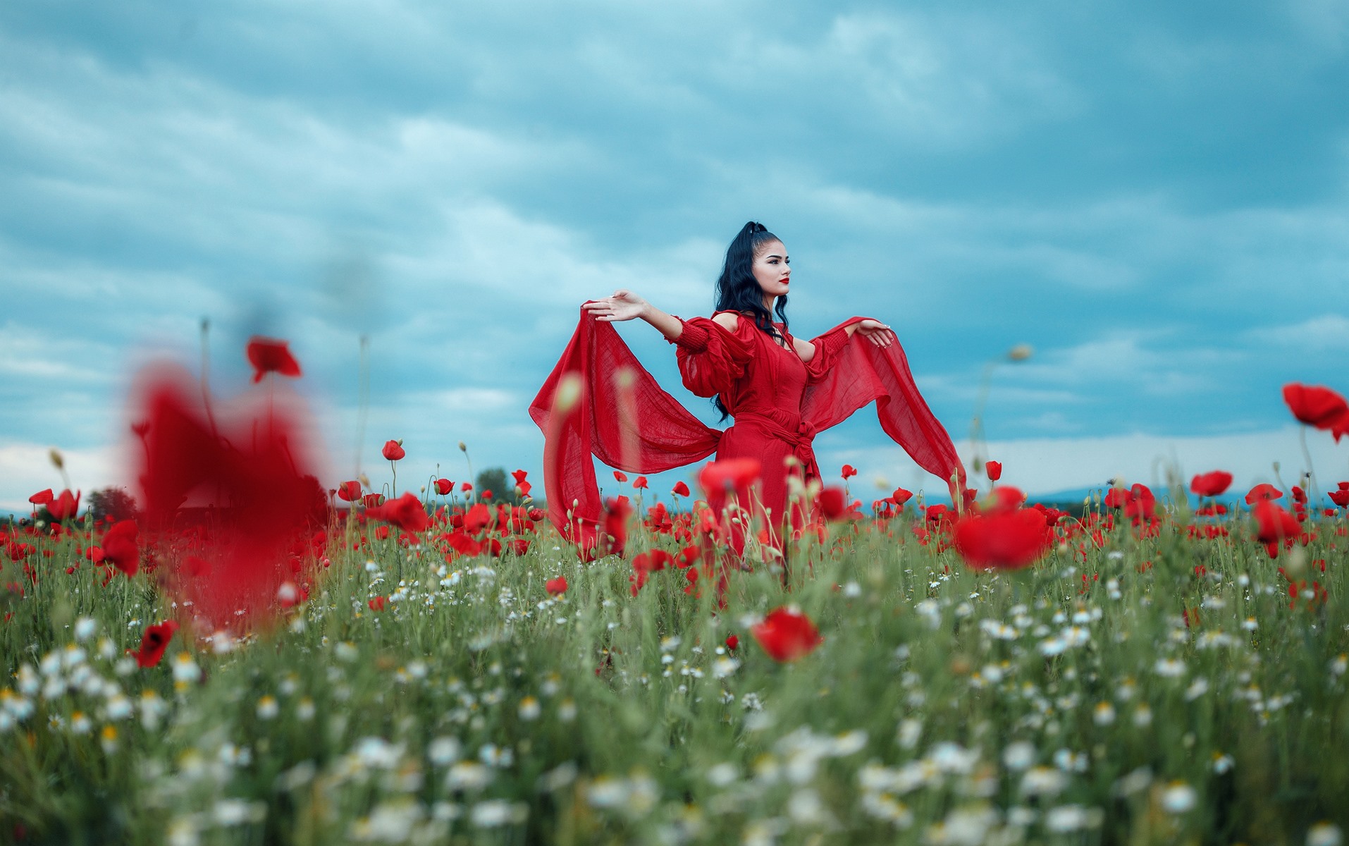 Red 03